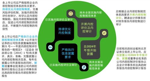 德勤解析《关于强化上市公司及拟上市企业内部控制建设 推进内部控制评价和审计的通知》要点及企业管理咨询启示