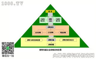 右脑思维在战略咨询中的应用 从逻辑到直觉的企业管理变革